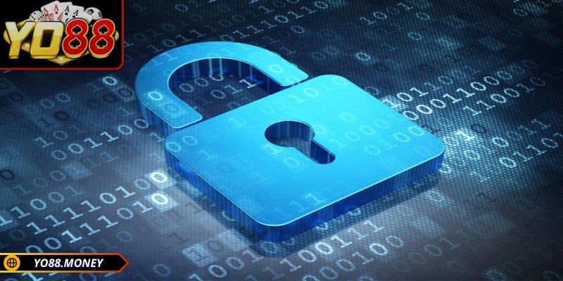 Các loại dữ liệu cá nhân được thu thập bởi YO88