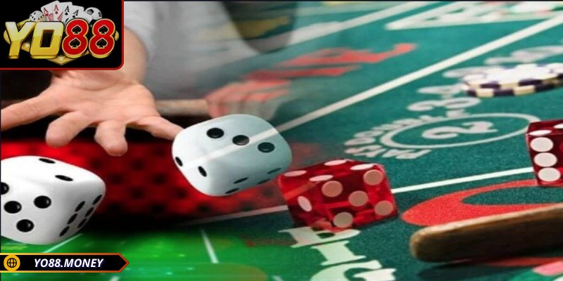 Bet thủ cần hiểu rõ luật, tỷ lệ cược tài xỉu