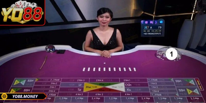 Fan phổ biến nhất trong Fantan YO88