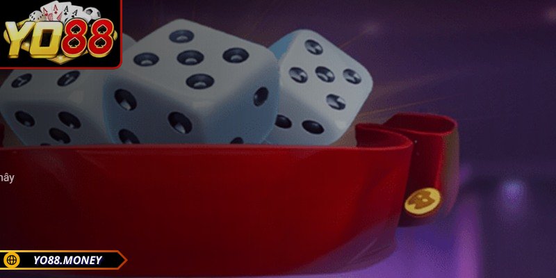 Một số loại cửa cược phổ biến trong trò chơi