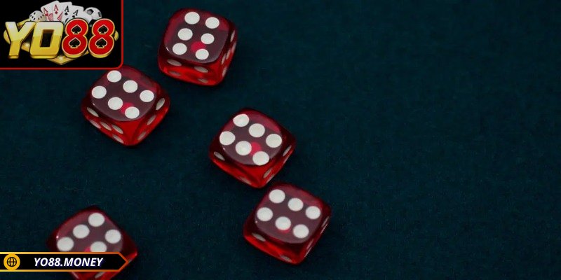 Lưu ý khi tham gia chơi cần biết