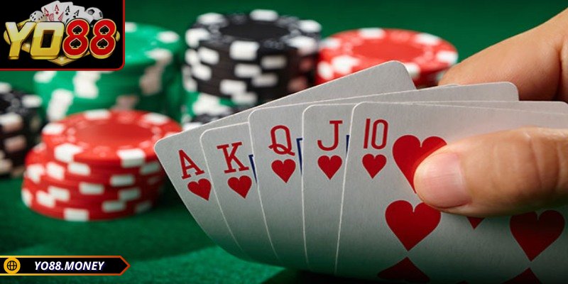 Phiên đấu gồm nhiều vòng tố khác nhau